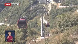 布莱顿内部会议纪要流出——赛后刷新队史纪录，德国杯使命明确，临场指挥获称赞的简单介绍